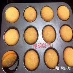 从入门到创业 网红西点蛋糕学习指南与甜味烘焙产品进阶之路